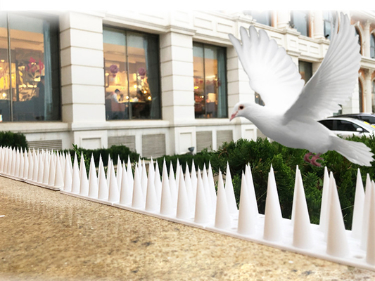 Outdoor Indoor OEM Plastic Anti Pigeon Spikes Eco Friendly Reusable Bird Repellent Effective